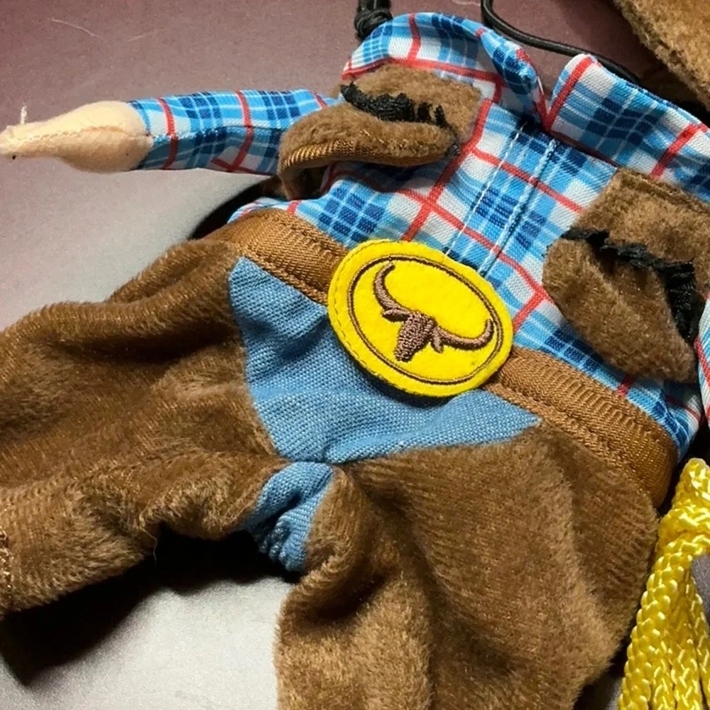 Cowboy Dog Costume